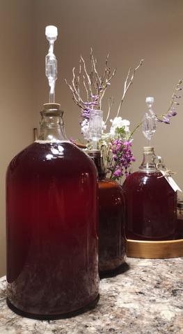 Wild Elderberry Wine