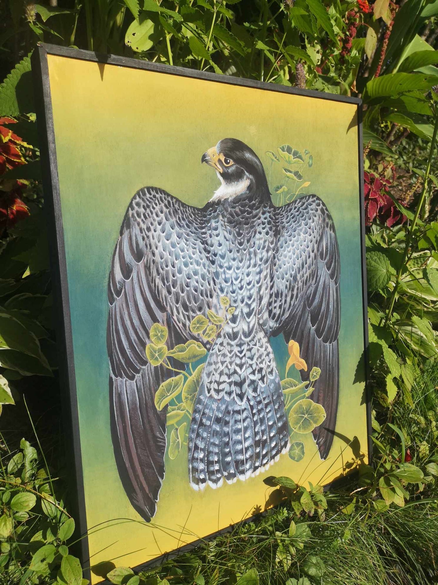 Falcon in Nasturtiums