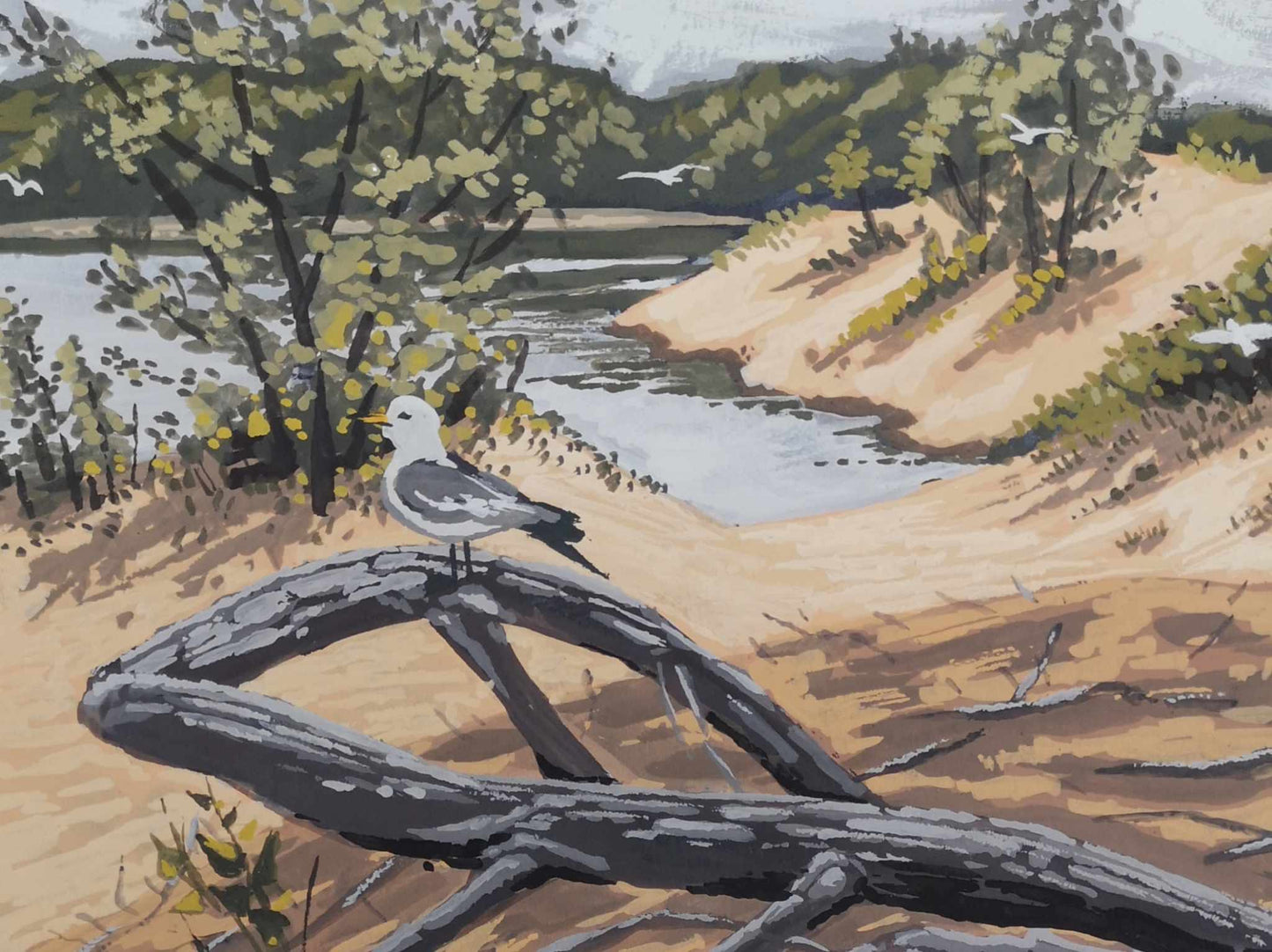 Dunes beach june