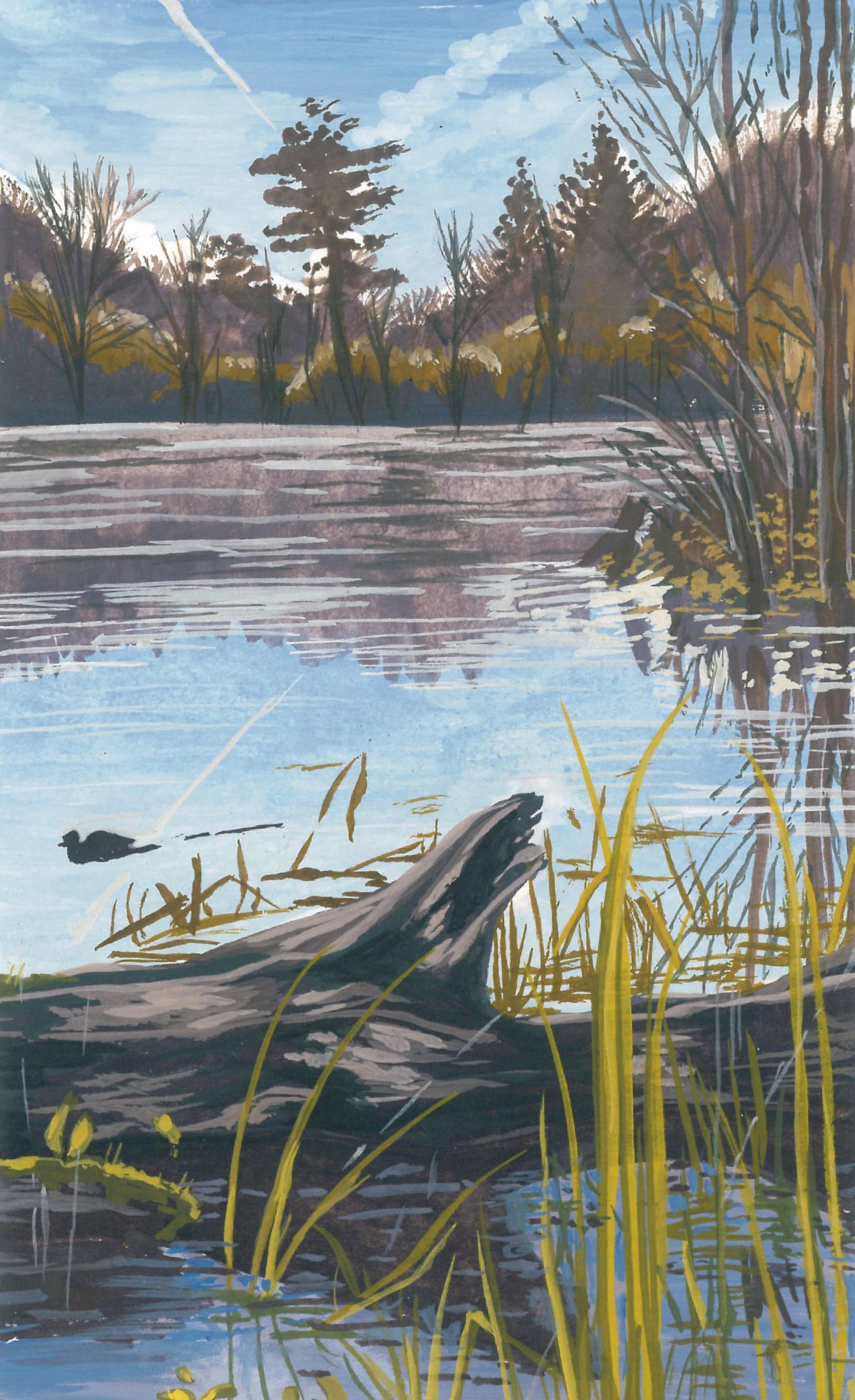 Mud Lake Log
