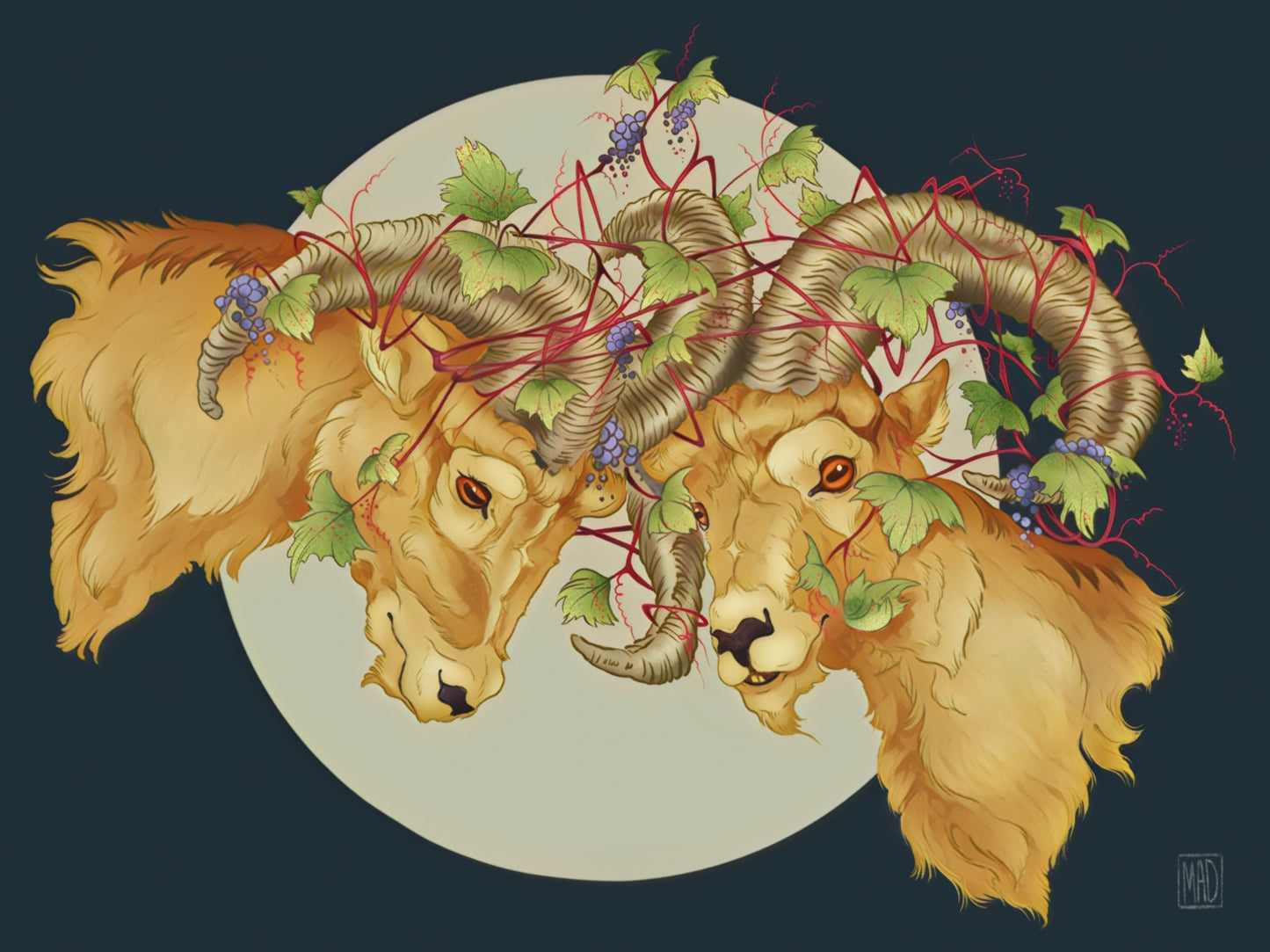 Big Horned Sheep Sticker - marsdrawn