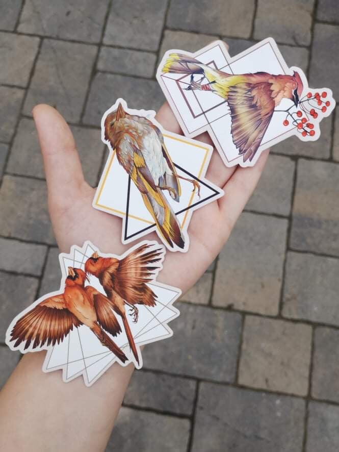 Bird Sticker Bundle - marsdrawn