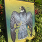 Falcon in Nasturtiums