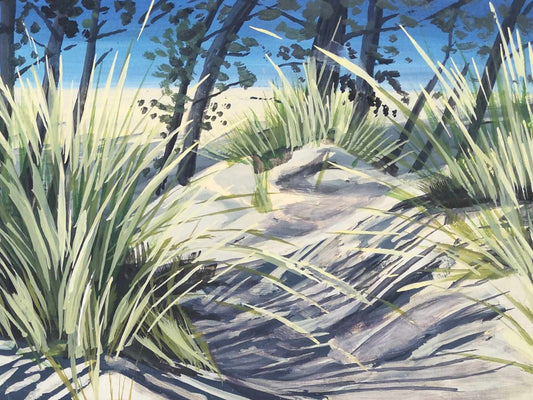 Morning sandbanks june