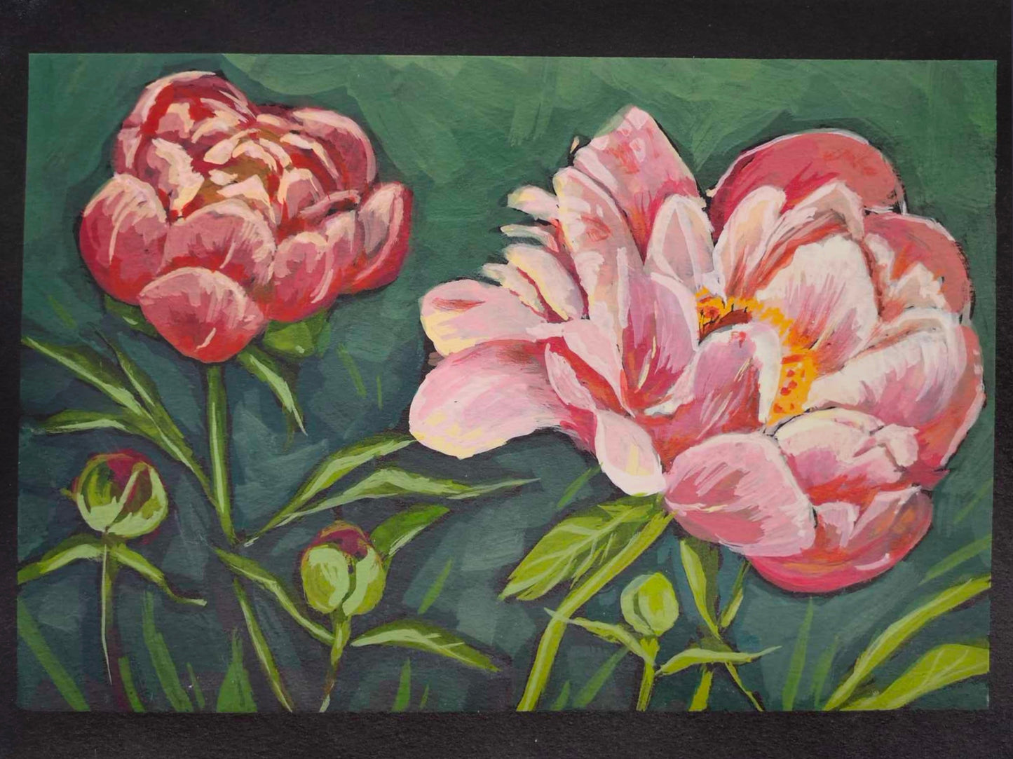 Peony 3