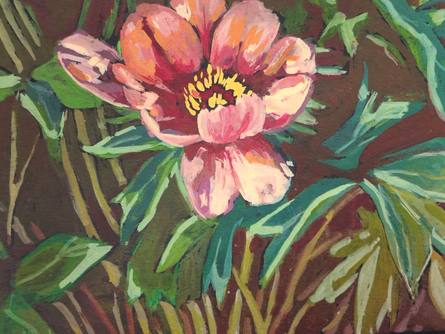 Peony 6