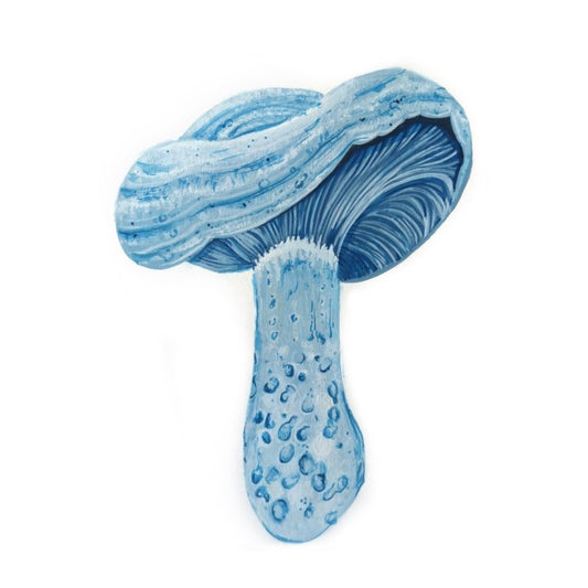 Indigo Milk Cap Mushroom