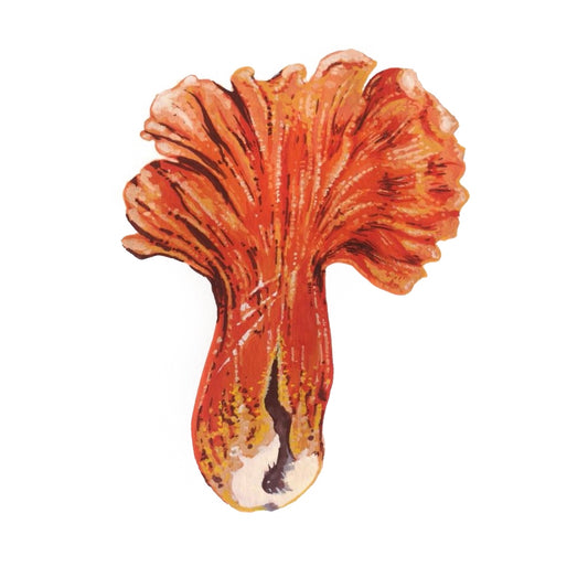 Lobster Claw Mushroom