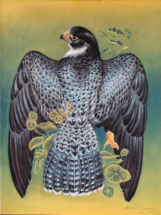 Falcon in Nasturtiums