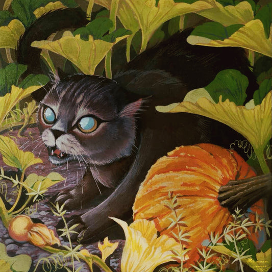 Stray in the Pumpkin Patch