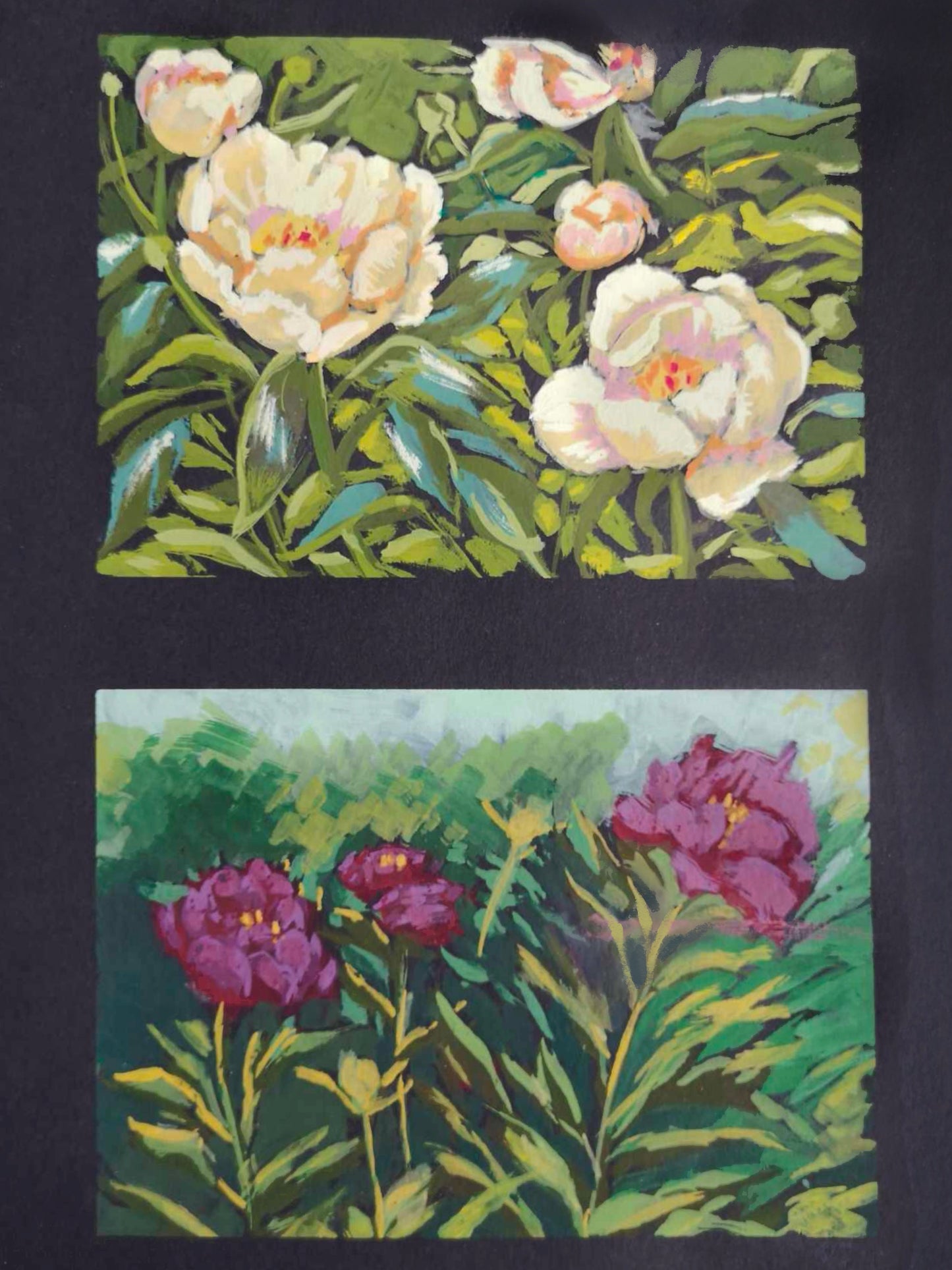 Peony 1 & 2