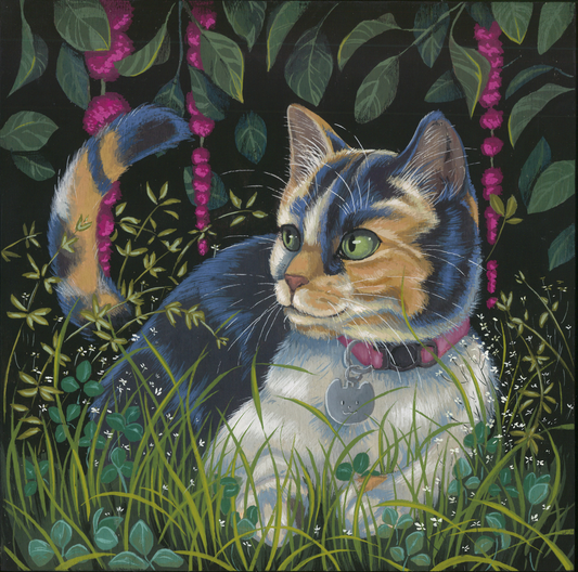 Avasalara in Amaranthus