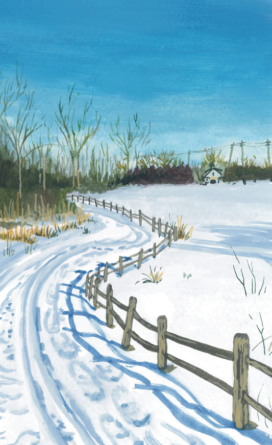 Shirley’s Bay Ski Trail