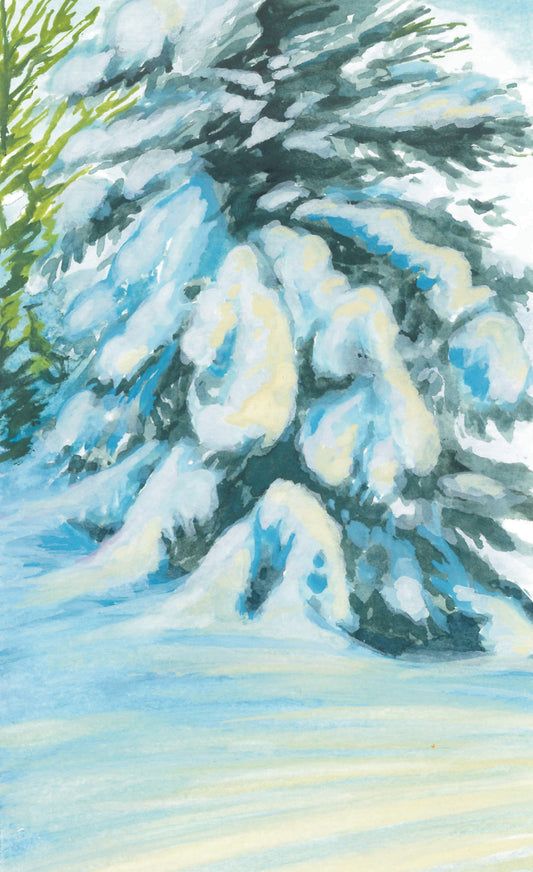 Snowy Pine