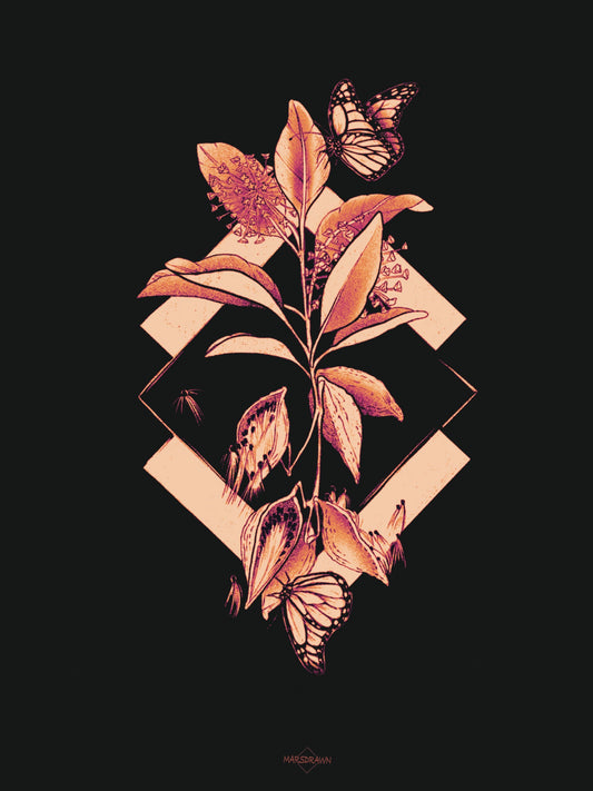 Monarch Milkweed Art Print