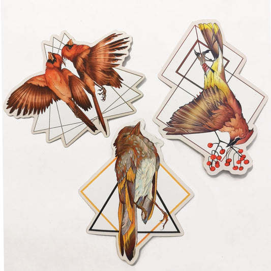 Bird Sticker Bundle - marsdrawn