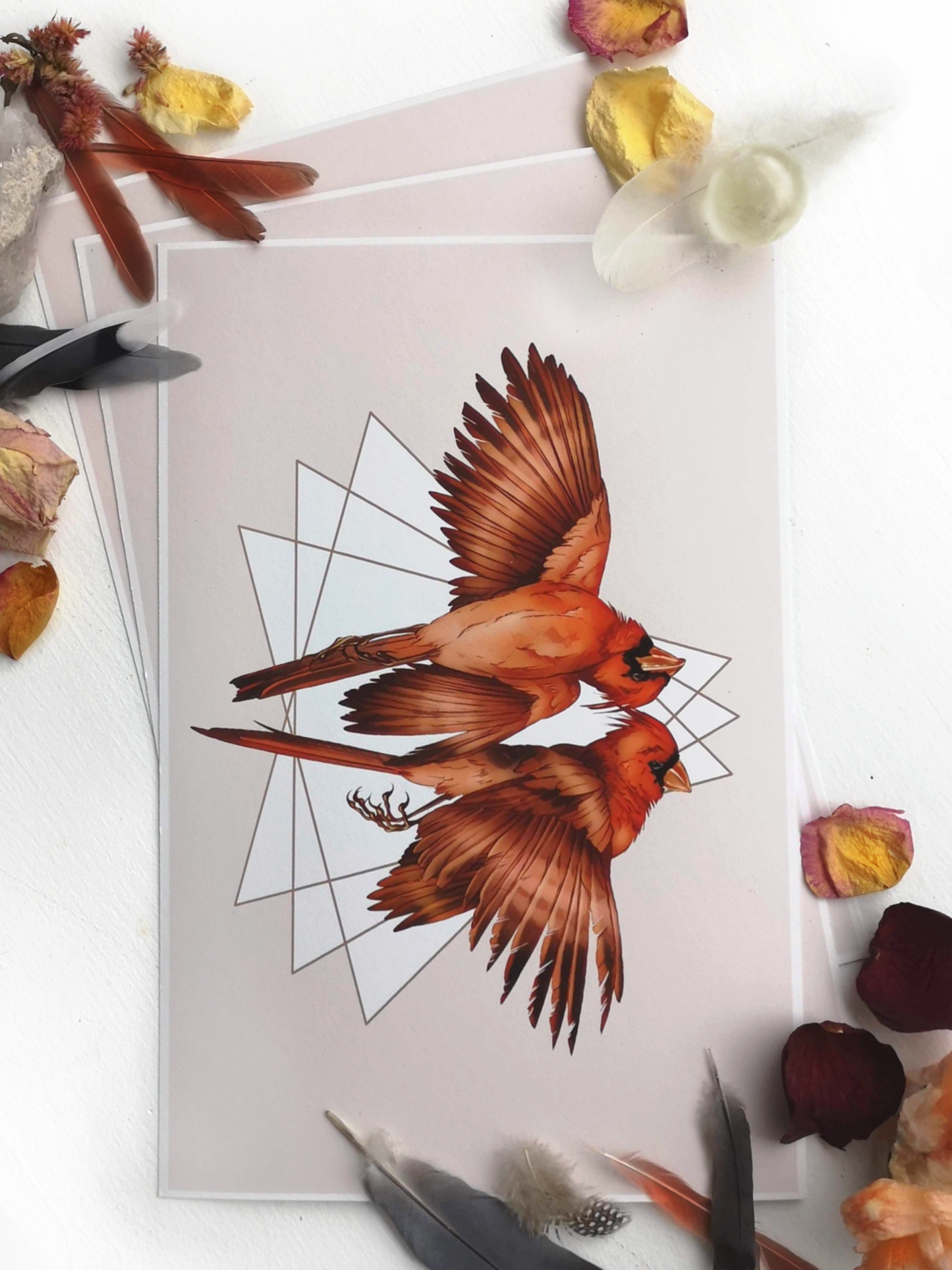 Cardinal - marsdrawn